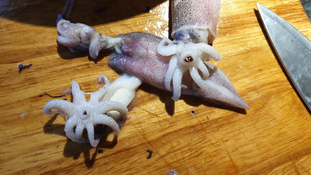 calamares